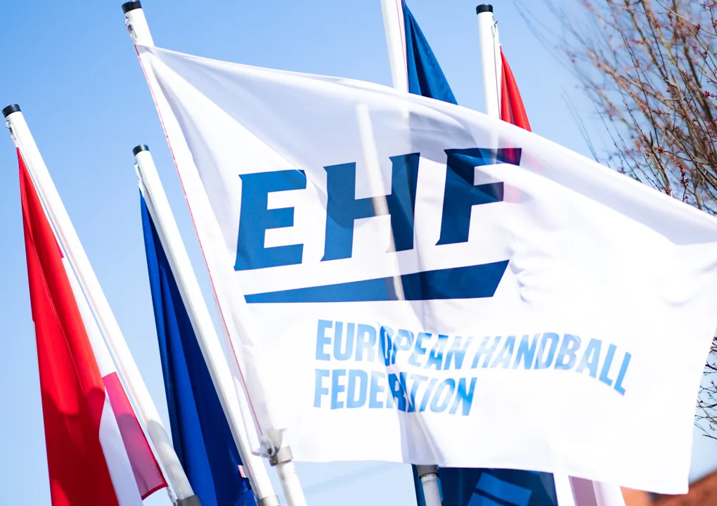 Court of Handball issues decision in Vipers case