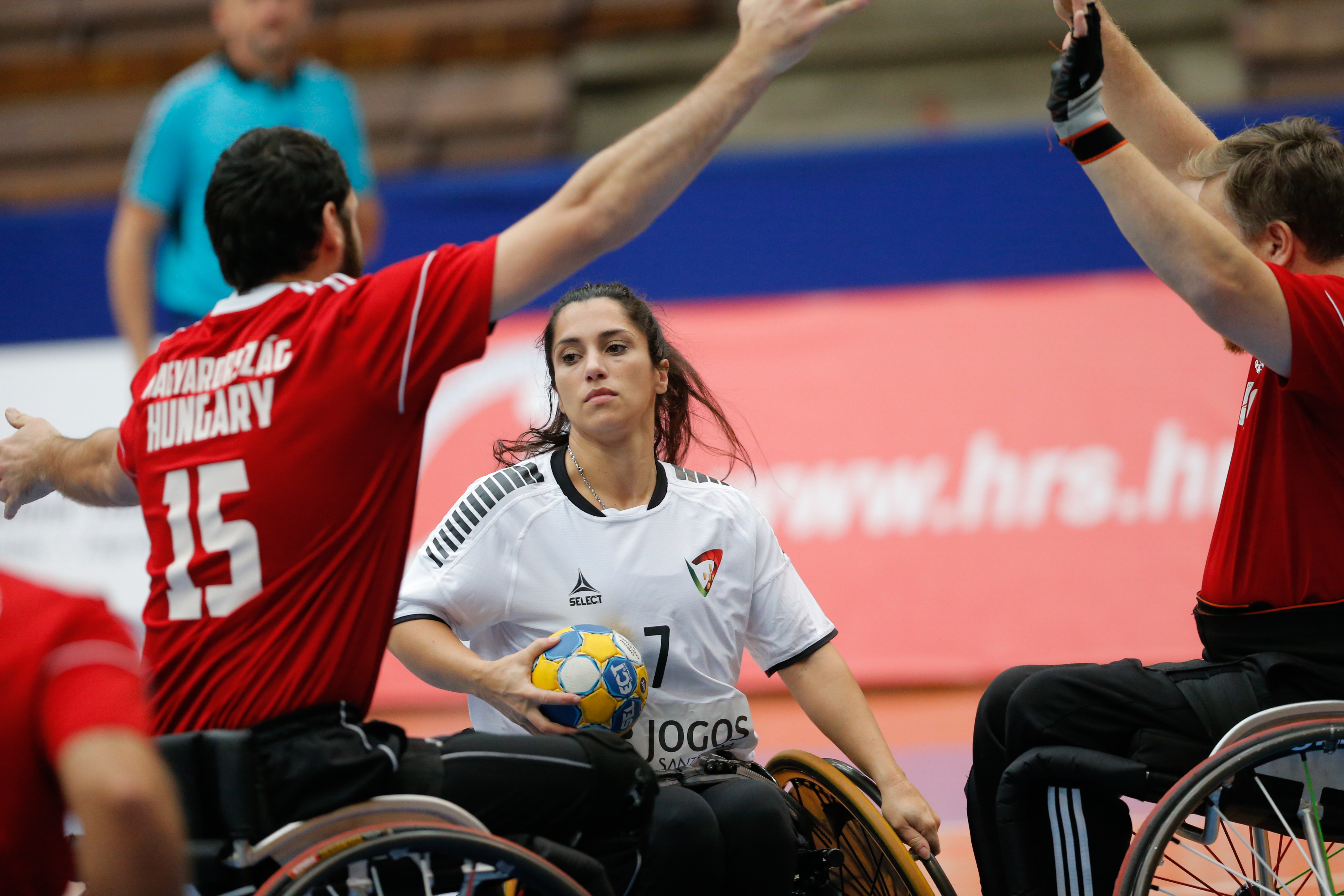 Wheelchair Handball