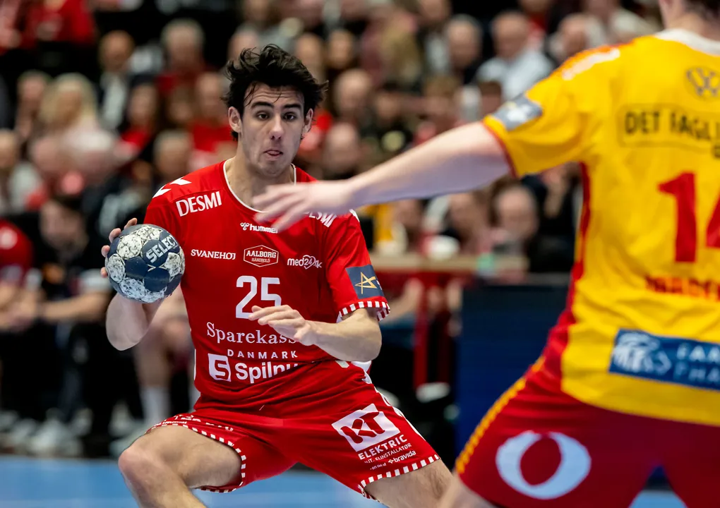 Aalborg defeat GOG in all-Danish play-off